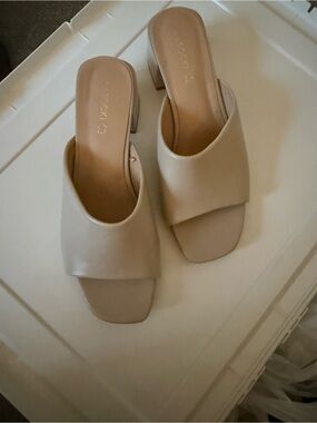 Women's Neutral Slide Mule with Block Heel